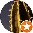 S.E. profile picture