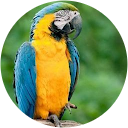 C Maria profile picture