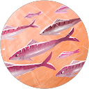 Nura profile picture