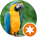 C Maria profile picture